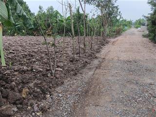 Bán đất ngay gần bến đò chùa hương 187  375m2, đường phân lô 5m, giá 5 triệu/m2