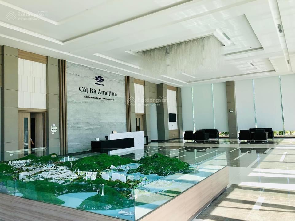 Bán gấp biệt thự cát bà amatina, bt4 tùng thu, 226m2, sổ đỏ, cát bà, hải phòng