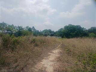 Cho thuê 4ha đất mặt tiền ql13, kế tthc bàu bàng