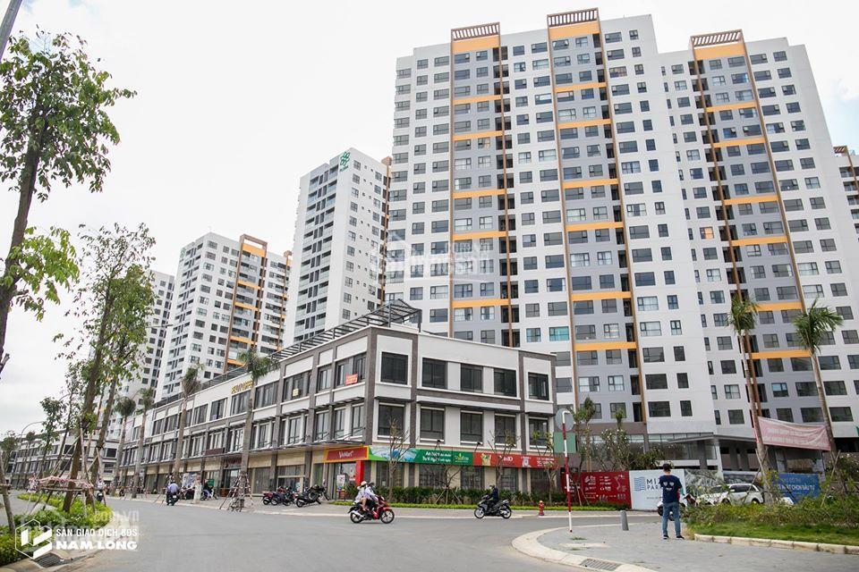 Cho thuê căn hộ mizuki park giá tốt nhất   0909 139 ***