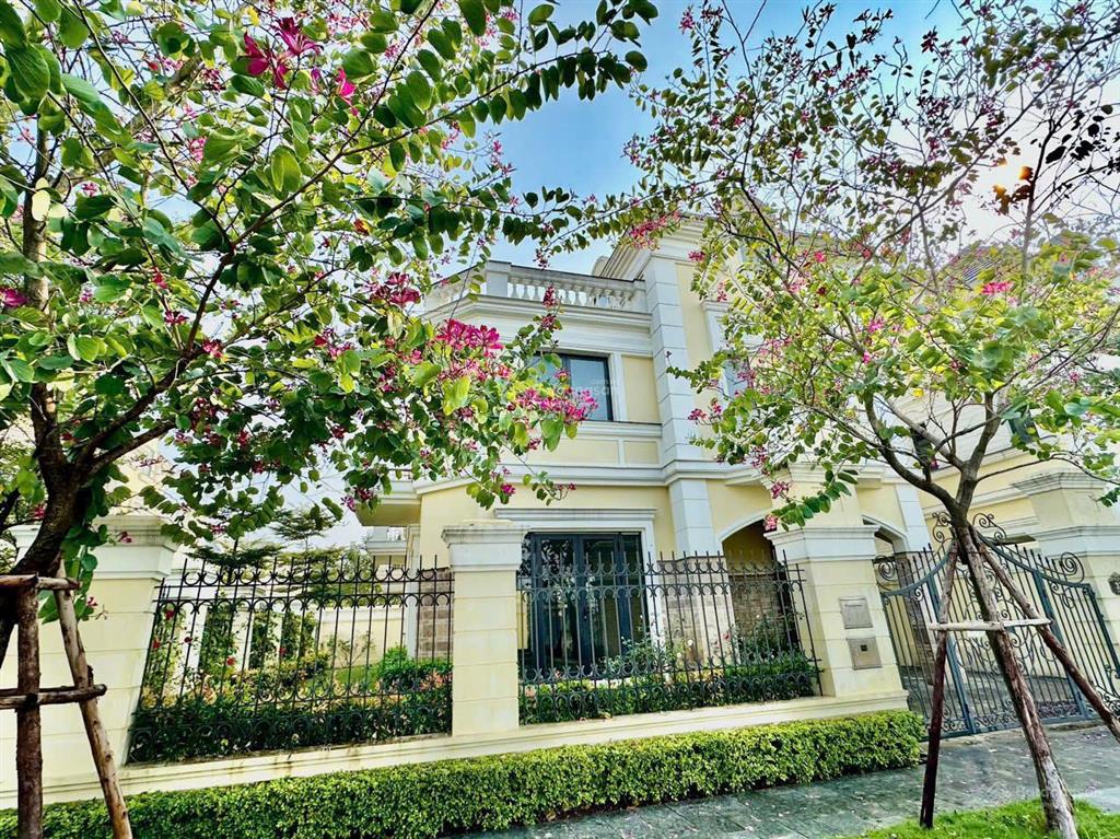 A sếp bán lô biệt thự 135m2  28.5 tỷ (bao sang tên)đối diện cổng trường đoàn thị điểm,sinh khi tốt