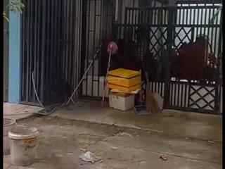 Chính chủ gửi bán đất mặt tiền hoà minh 7, gần ngay dự án phương trang đn