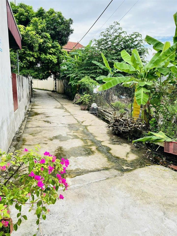 Bán nhanh 62,5m2 ngõ ô tô 7 chỗ vào thoải mái, gần kđt vinhomes oceanpark 2 giá chỉ 2tỉ4xxtriệu