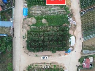 Bán nhanh lô góc 87m2 đấu giá hoàng trạch mễ sở, giá mềm nhất thị trường, ngay sát vành đai 4