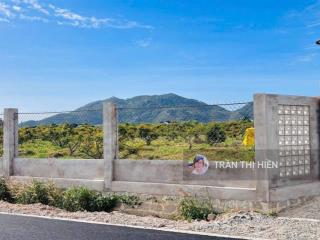 Thị trấn phước hải  brvt, cách biển chỉ 3km dt 2040,5m2 14x49m sẵn 300m2 thổ cư, ngang 24m