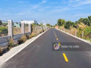 Bán vườn trái cây thị trấn phước hải  3000m2  33.5x90m  view núi minh đạm quy hoạch đất ở