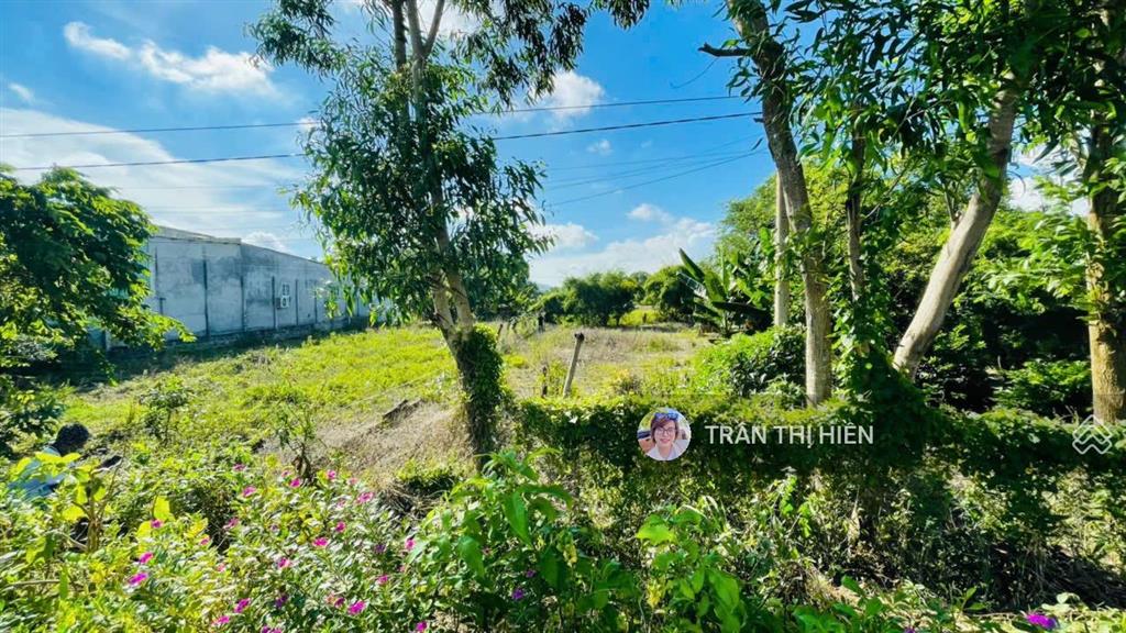 Thị trấn phước hải  brvt, 841m2 (20x42m) sẵn 150m2 thổ cư, cách tỉnh lộ 44b chỉ 50m