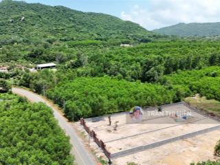 Bán đất xã phước hải  tp hcm view núi minh đạm  cách biển 4km 3 lô liên kề 10x57m  571m2