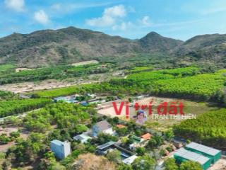 2 lô 10x59m trục chính phước hưng phước hải xã phước hải  tp hcm đi biển, cách lan rừng 3km