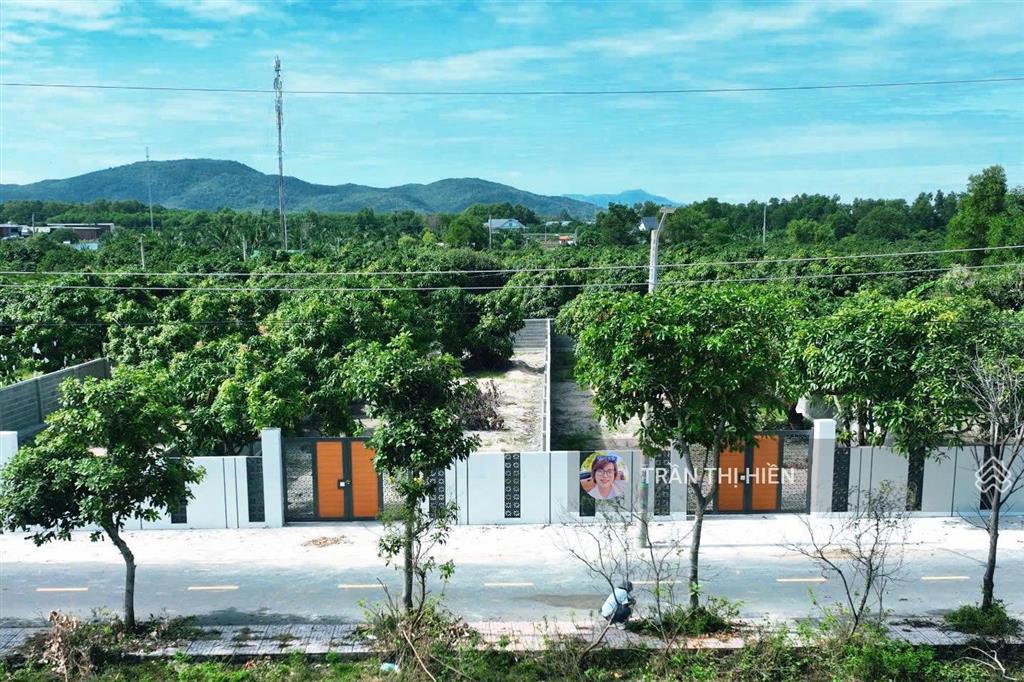 Vườn xoài thị trấn phước hải  gần biển phước hải  10x50m  đã xây rào cổng kiên cố