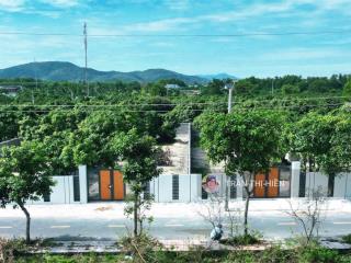 Vườn xoài thị trấn phước hải gần biển phước hải  10x50m  đã xây rào cổng kiên cố