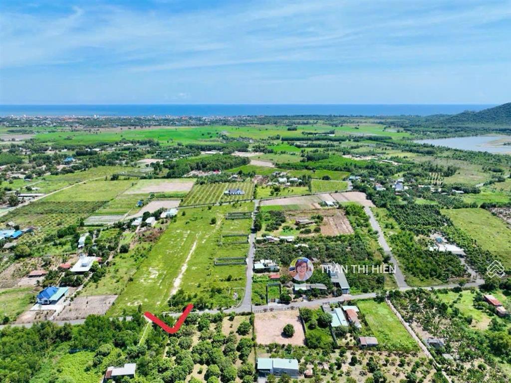 Vườn xoài thị trấn phước hải  gần biển phước hải  10x50m  đã xây rào cổng kiên cố