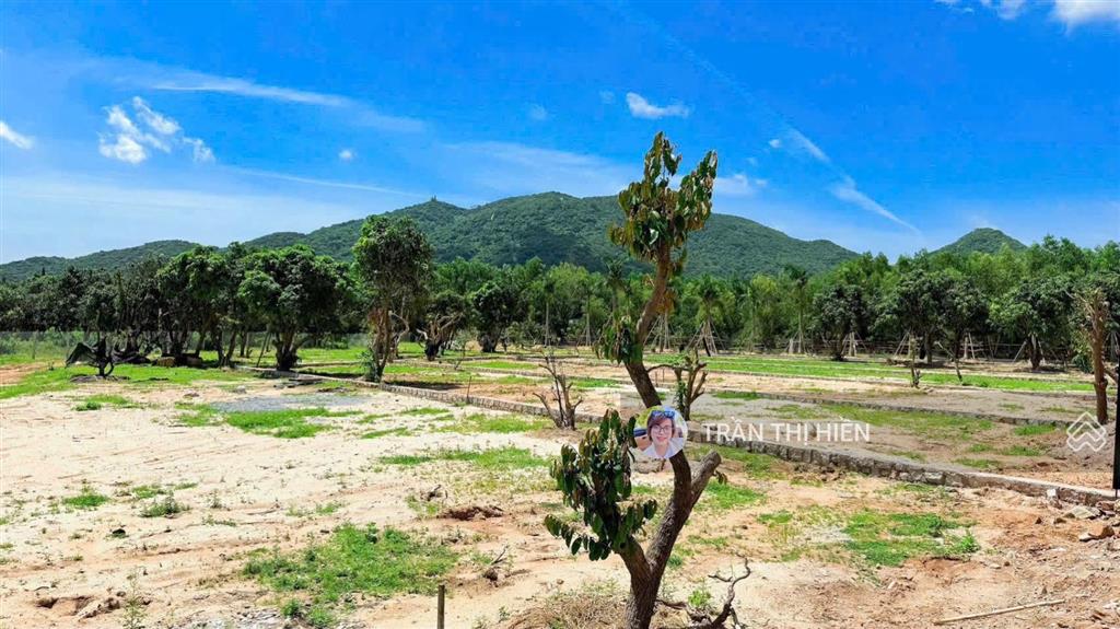 Thị trấn phước hải  brvt đi biển chỉ 3km 1133m2  33m x 55m