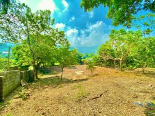 Bán nhanh 389m² đất thổ cư đẹp tại lương sơn  view sinh thái  khu biệt thự nhà vườn