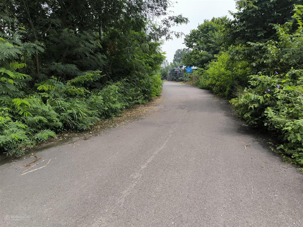 Bán 5307m2 châu pha, tp. phú mỹ, đất 2 mặt tiền