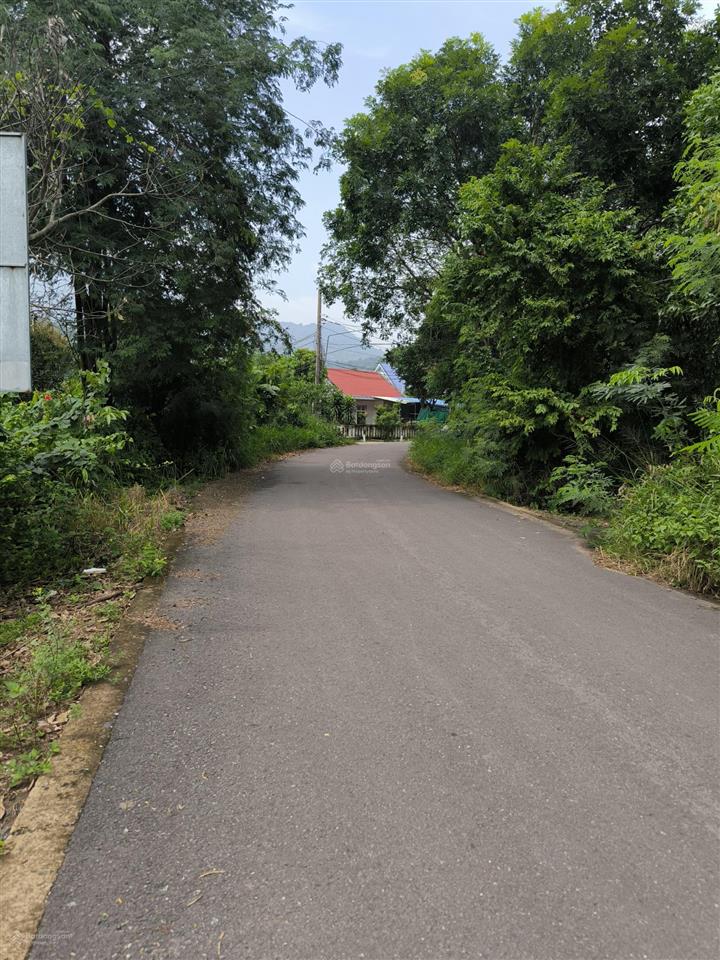 Bán 5307m2 châu pha, tp. phú mỹ, đất 2 mặt tiền