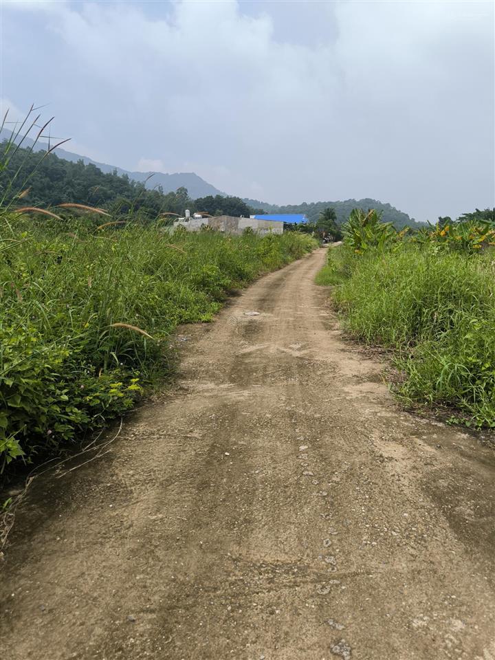 Bán 5307m2 châu pha, tp. phú mỹ, đất 2 mặt tiền