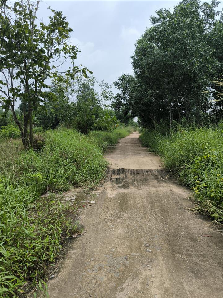 Bán 5307m2 châu pha, tp. phú mỹ, đất 2 mặt tiền