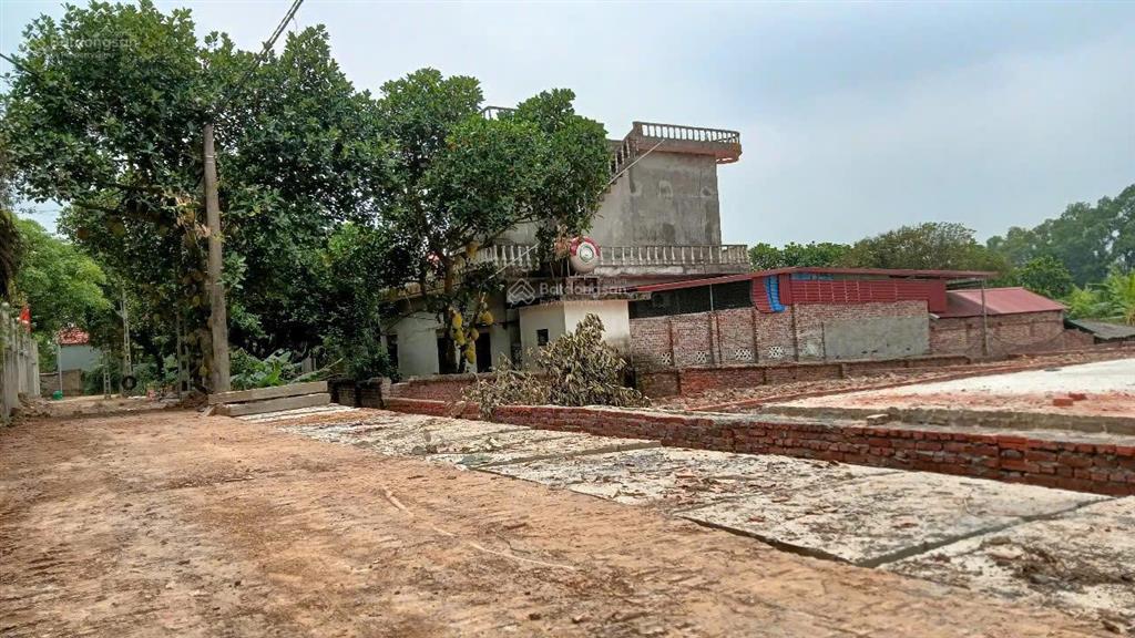 Chính chủ tiên dược gần đường đại lải  nội bài chỉ 150m