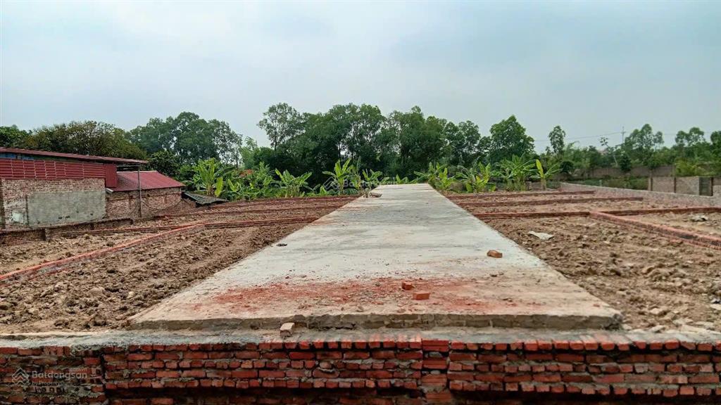 Chính chủ tiên dược gần đường đại lải  nội bài chỉ 150m