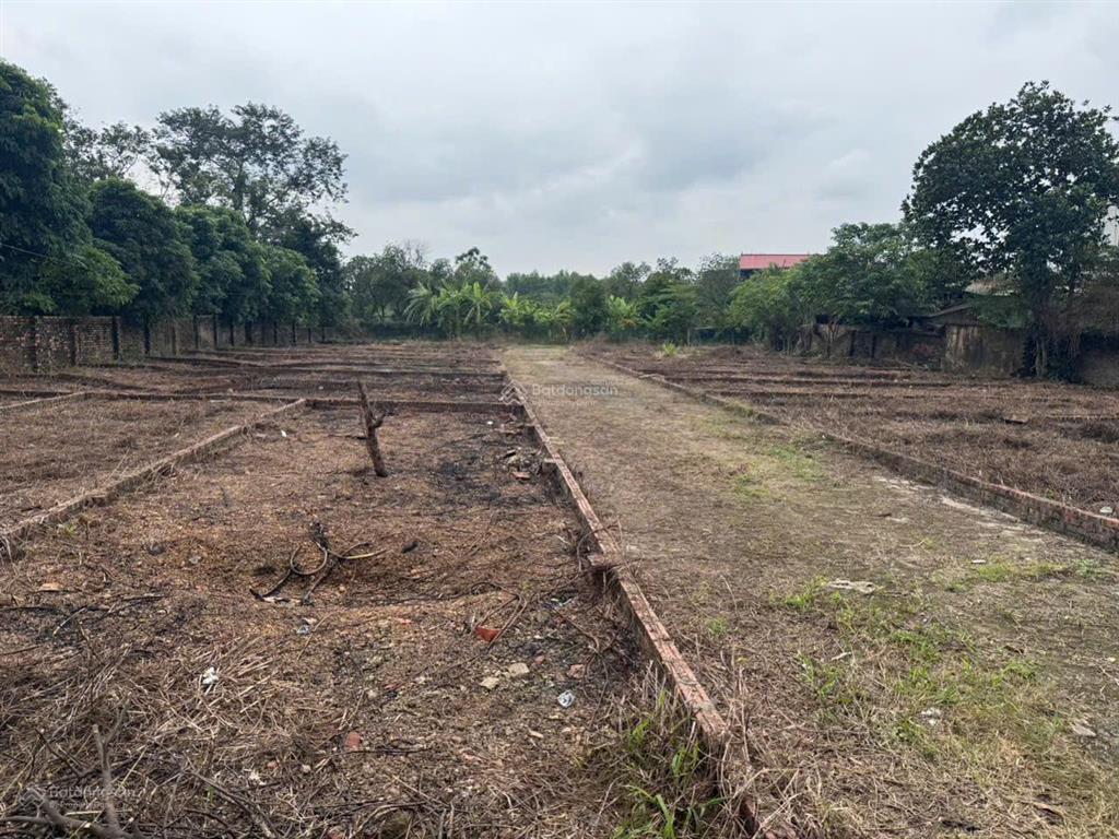 Bán đất đẹp tại lò nồi, hiền ninh, sóc sơn, hà nội