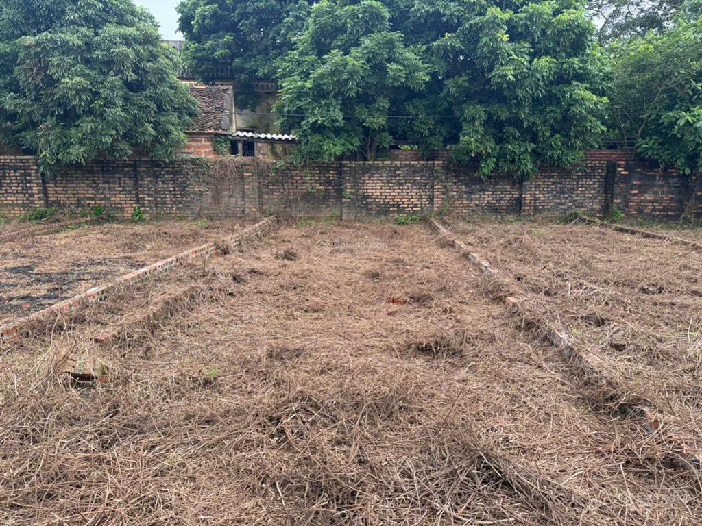 Bán đất đẹp tại lò nồi, hiền ninh, sóc sơn, hà nội