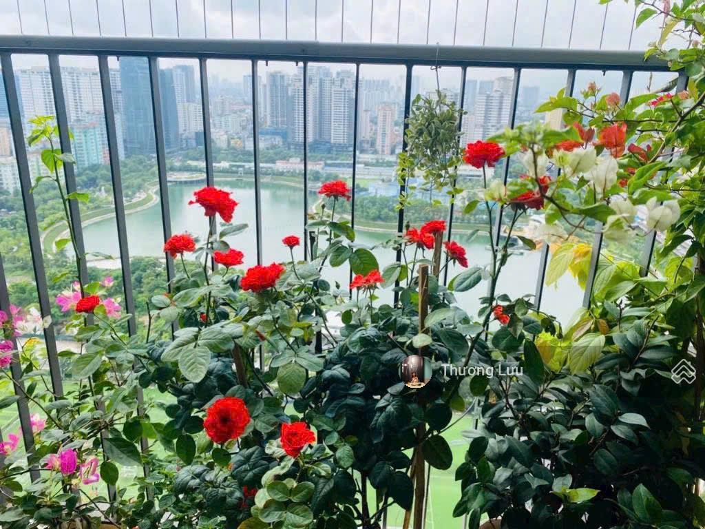 Bán căn 2pn 83m2 view hồ tòa c6 vinhomes d'capitale giá chỉ 100tr/m2
