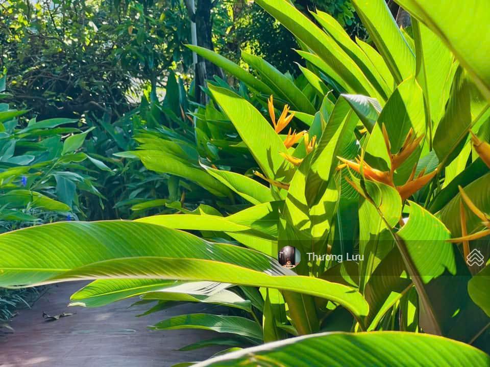 Chính chủ cần bán căn hộ 3pn114m2 tại tòa b mulberry lane, giá tốt 8.x tỷ, shld