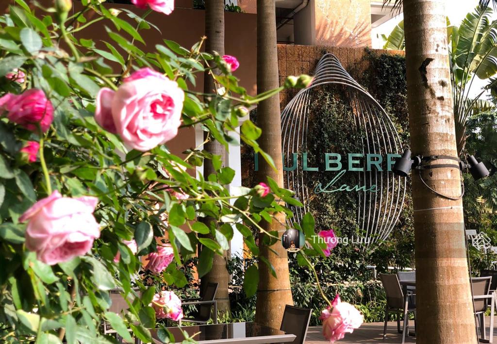 Bán căn hộ 3pn  137m2 tại mulberry lane full đồ đẹp  view bể bơi đẹp