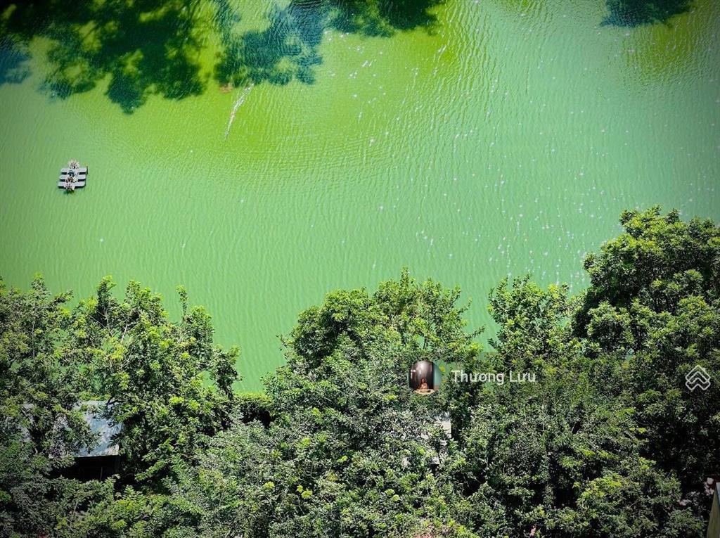 Bán căn hộ 3 phòng ngủ  137m2 tại mulberry lane, view bể bơi đẹp mát, giá tốt