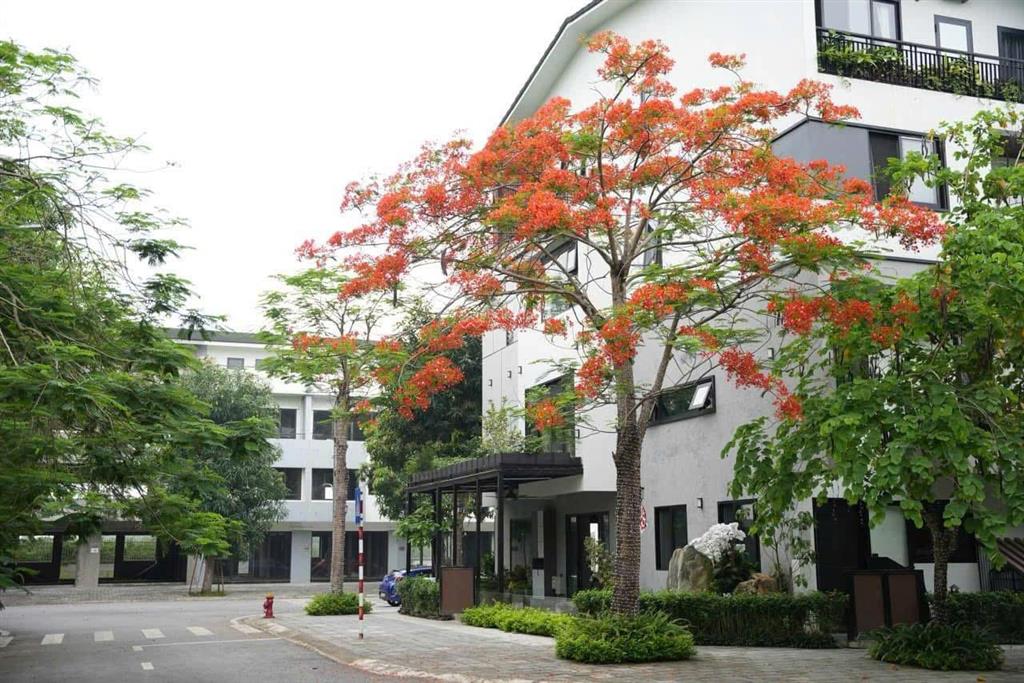 Cần bán nhà phố khu thung lũng mùa xuân 1c ở ecopark văn giang, hưng yên