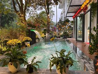 Cần bán biệt thự đơn lập vườn tùng giá tốt ở ecopark văn giang, hưng yên