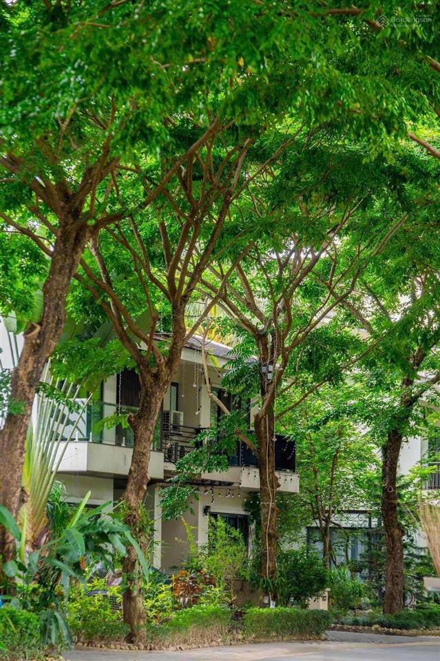 Cần bán gấp biệt thự song lập mimosa ecopark văn giang hưng yên