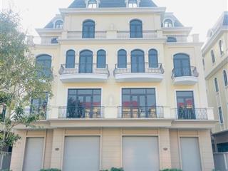 Cần bán căn biệt thự song lập trục đường 51m vip nhất tại ocean park 2