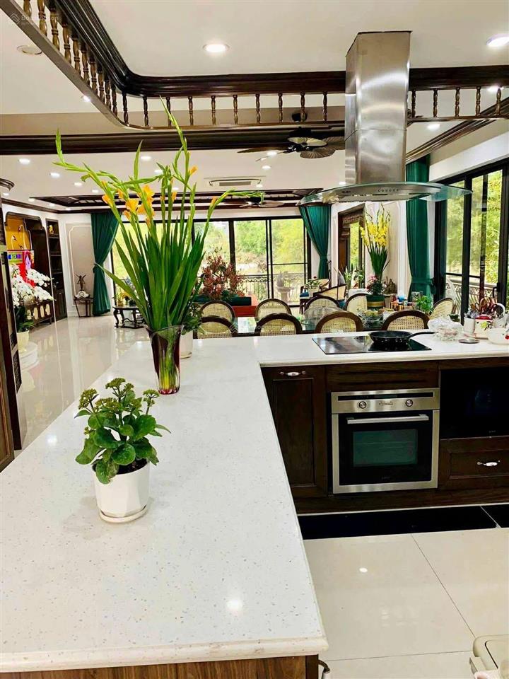 Cần bán biệt thự song lập thương mại mimosa ở ecopark văn giang hưng yên