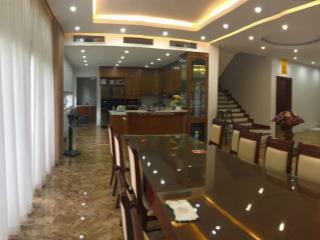 Cần bán biệt thự đơn lập vườn tùng ecopark văn giang hưng yên