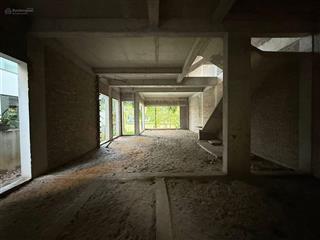 Cần bán gấp biệt thự đảo 300m2 ecopark lấy tiền làm ăn  giá tốt