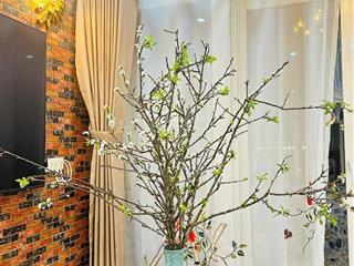 Hiếm! bán căn 94m2  3 ngủ  2wc ct18 việt hưng (happy house) giá nhỉnh 4 tỷ