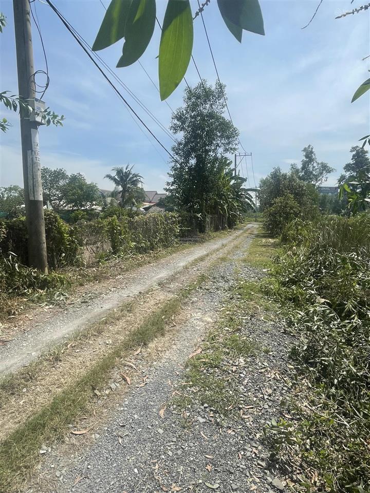 Bán đất vườn chỉ 6tr/m2 long phước, q9 cũ