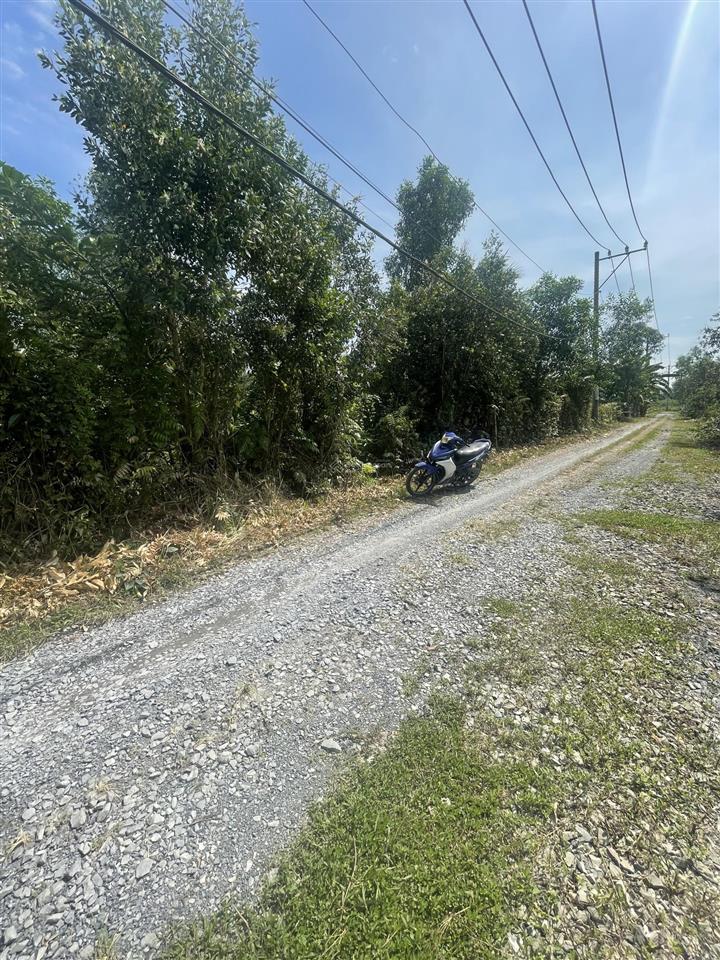 Bán đất vườn chỉ 6tr/m2 long phước, q9 cũ