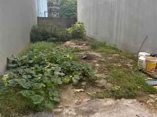 Bán đất đông dư gia lâm, đường nhựa oto vào, dt 68m giá nhỉnh 4 tỷ,