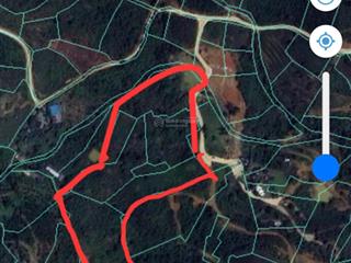 Bán khu nghỉ dưỡng 2 ha 2 view săn mây cực đỉnh, chính chủ đăng bán