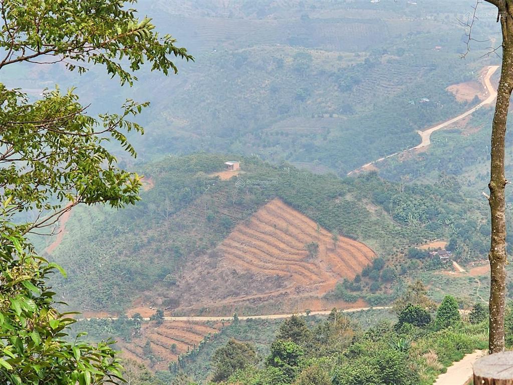 Bán 5 sào có 100m mặt tiền đường bê tông lên núi đại bình