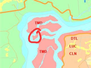 Bán đất cồn riêng biệt 7.500m2 quy hoạch đất thương mại dịch vụ