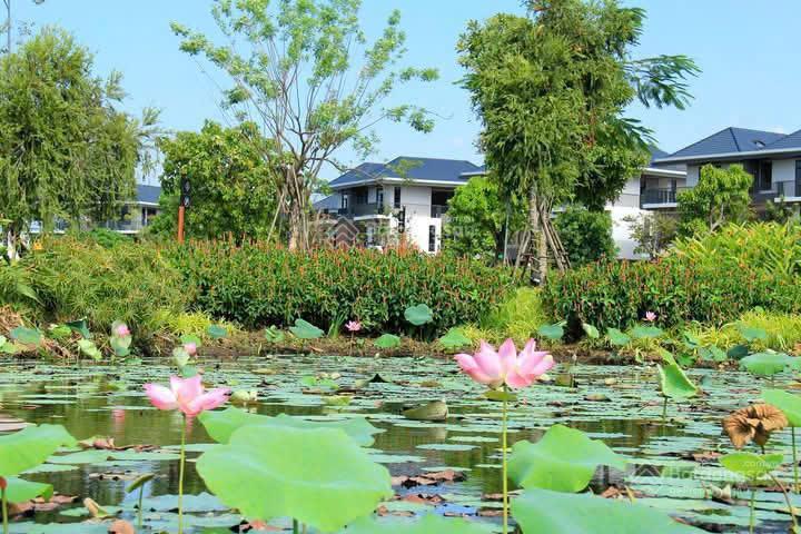 Chuyên bán biệt thự compound cao cấp id junction giá chỉ từ 6.x tỷ