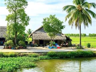 Chính chủ cần bán full thổ cư đất xã bình khánh  0918 182 ***