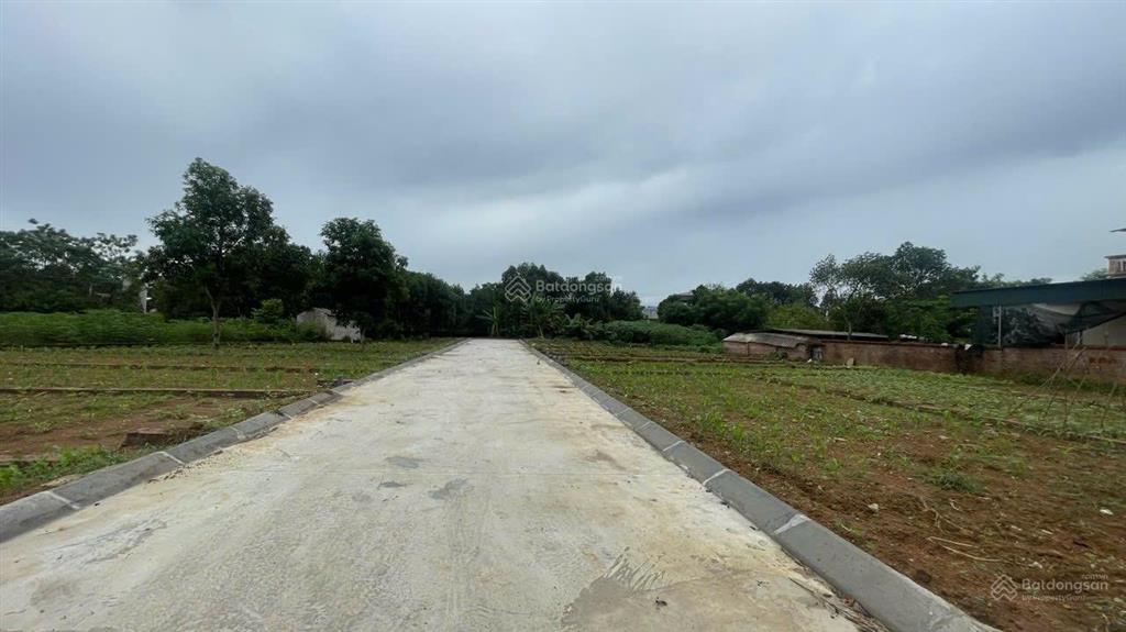 Hơn 1650m2(300m2 ont) đất hoà lạc giá rẻ dưới thị trường cần bán!