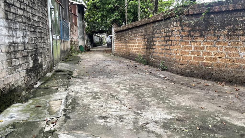 Bán đất giá rẻ trung tâm huyện thạch thất giá chỉ hơn 1 tỷ