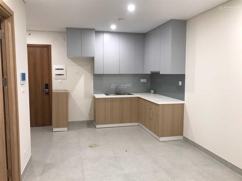 Cập nhật bản giá bán chung cư diamond lotus riverside tháng 2/2025 đã có sổ. 0919 961 ***