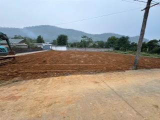 Chính chủ gửi bán buôn 9 lô đất đẹp hoa hậu thích hợp phân lô đường thông dân cư đông đúc